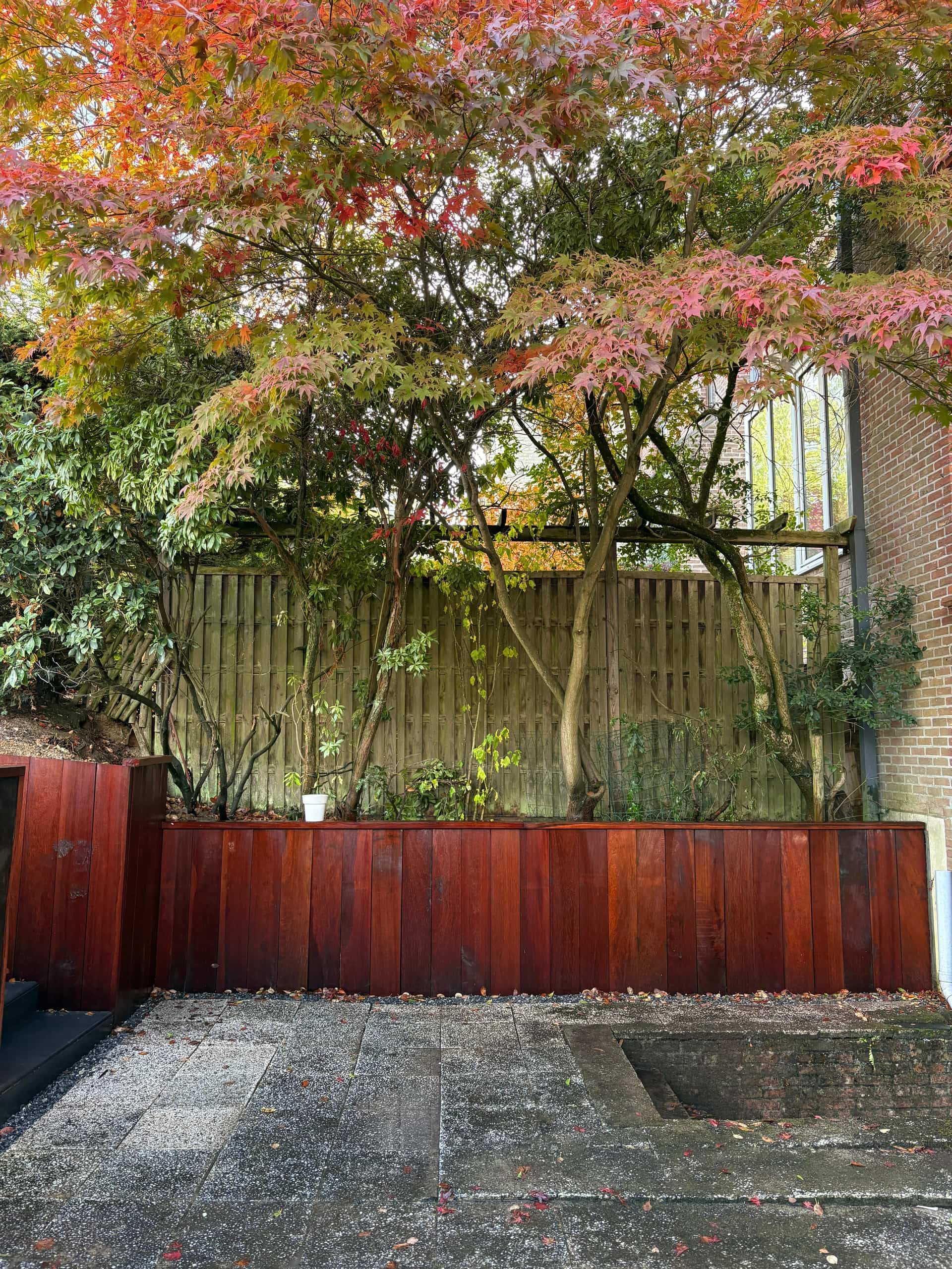 Réalisation jardin Renoday en Brabant wallon